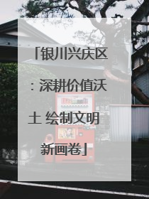 银川兴庆区：深耕价值沃土 绘制文明新画卷