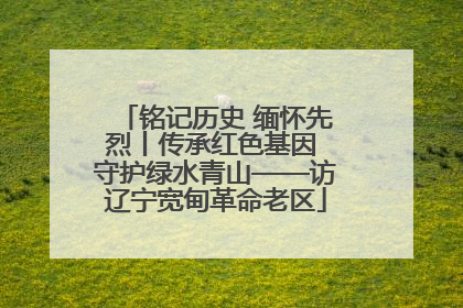 铭记历史 缅怀先烈丨传承红色基因 守护绿水青山——访辽宁宽甸革命老区