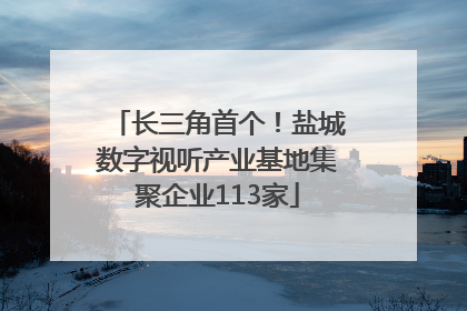 长三角首个！盐城数字视听产业基地集聚企业113家