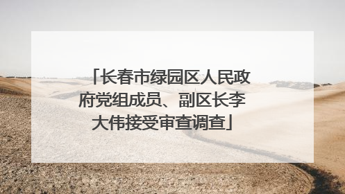 长春市绿园区人民政府党组成员、副区长李大伟接受审查调查