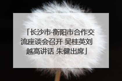 长沙市·衡阳市合作交流座谈会召开 吴桂英刘越高讲话 朱健出席