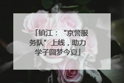 镇江：“京警服务队”上线，助力学子圆梦今夏