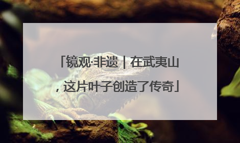 镜观·非遗｜在武夷山，这片叶子创造了传奇
