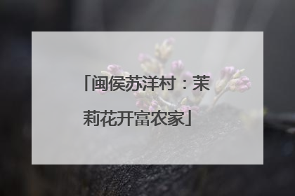 闽侯苏洋村：茉莉花开富农家