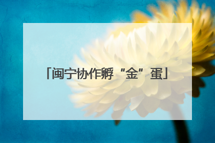 闽宁协作孵“金”蛋