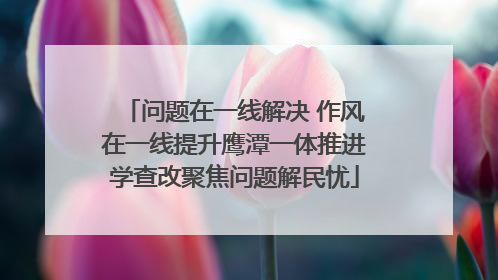 问题在一线解决 作风在一线提升鹰潭一体推进学查改聚焦问题解民忧