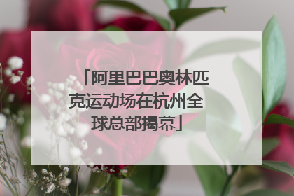 阿里巴巴奥林匹克运动场在杭州全球总部揭幕