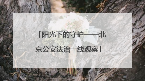 阳光下的守护——北京公安法治一线观察