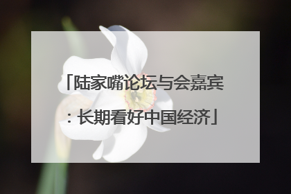 陆家嘴论坛与会嘉宾：长期看好中国经济