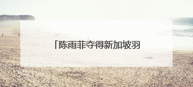 陈雨菲夺得新加坡羽毛球公开赛女单冠军