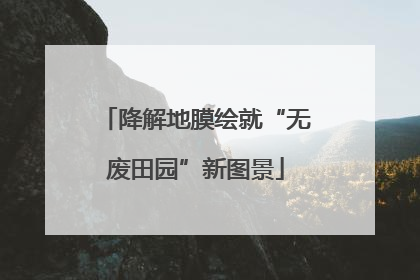 降解地膜绘就“无废田园”新图景