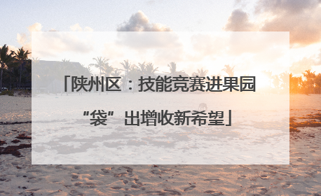 陕州区：技能竞赛进果园 “袋”出增收新希望