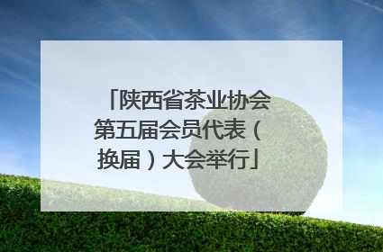 陕西省茶业协会第五届会员代表（换届）大会举行