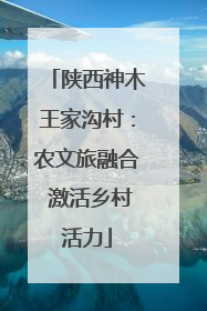 陕西神木王家沟村：农文旅融合 激活乡村活力