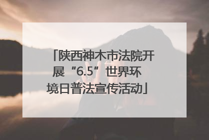 陕西神木市法院开展“6.5”世界环境日普法宣传活动