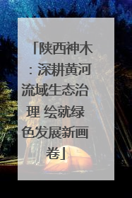 陕西神木：深耕黄河流域生态治理 绘就绿色发展新画卷