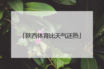陕西体育比天气还热