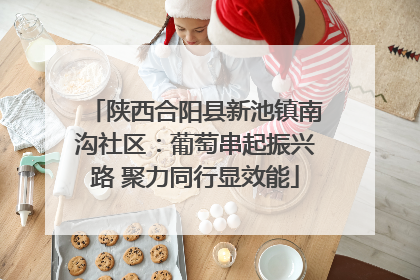 陕西合阳县新池镇南沟社区：葡萄串起振兴路 聚力同行显效能