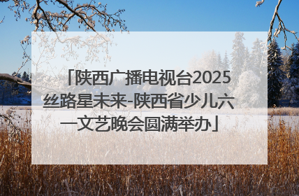 陕西广播电视台2025丝路星未来-陕西省少儿六一文艺晚会圆满举办