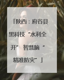 陕西：府谷县黑科技“水利全开” 智慧脑“精准防灾”