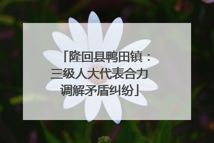 隆回县鸭田镇：三级人大代表合力调解矛盾纠纷