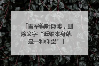 雷军编辑微博，删除文字“诋毁本身就是一种仰望”