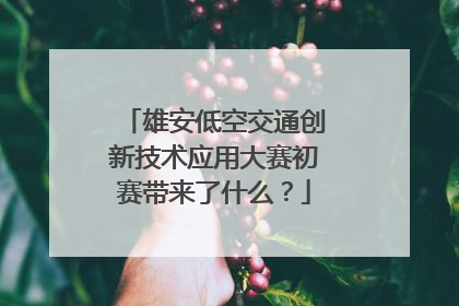 雄安低空交通创新技术应用大赛初赛带来了什么？