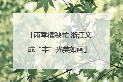 雨季插秧忙 浙江文成“丰”光美如画