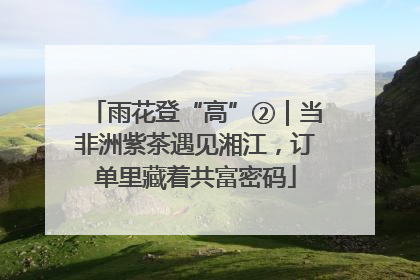 雨花登“高”②｜当非洲紫茶遇见湘江，订单里藏着共富密码
