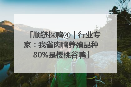 顺链探鸭④｜行业专家：我省肉鸭养殖品种80%是樱桃谷鸭