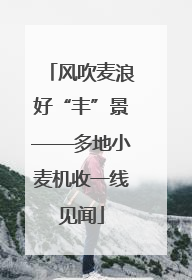 风吹麦浪好“丰”景——多地小麦机收一线见闻