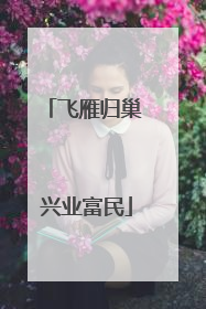 飞雁归巢 兴业富民
