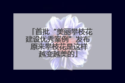 首批“美丽攀枝花建设优秀案例”发布 原来攀枝花是这样越变越美的