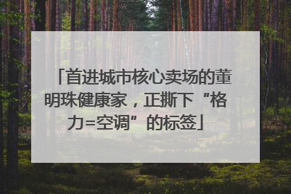 首进城市核心卖场的董明珠健康家，正撕下“格力=空调”的标签