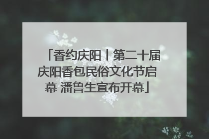 香约庆阳丨第二十届庆阳香包民俗文化节启幕 潘鲁生宣布开幕