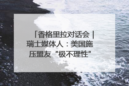 香格里拉对话会｜瑞士媒体人：美国施压盟友“极不理性” 欧洲国家无意与中国“脱钩断链”