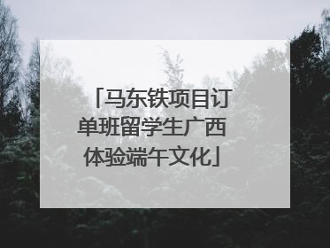 马东铁项目订单班留学生广西体验端午文化