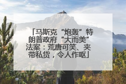 马斯克“炮轰”特朗普政府“大而美”法案：荒唐可笑、夹带私货，令人作呕