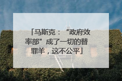 马斯克：“政府效率部”成了一切的替罪羊，这不公平