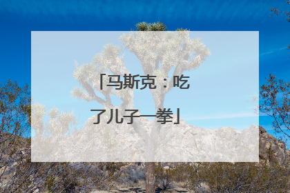马斯克：吃了儿子一拳