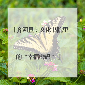 齐河县：文化书院里的“幸福密码 ”