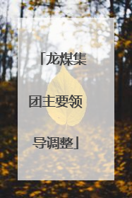 龙煤集团主要领导调整