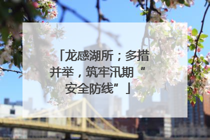 龙感湖所；多措并举，筑牢汛期“安全防线”