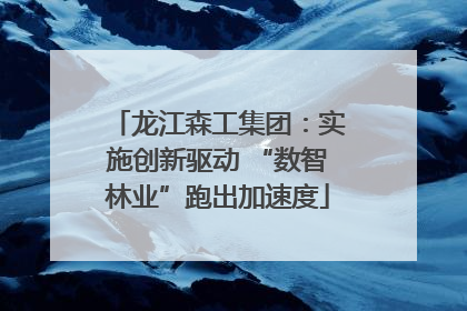 龙江森工集团：实施创新驱动 “数智林业”跑出加速度
