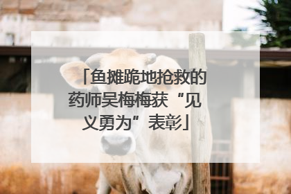 鱼摊跪地抢救的药师吴梅梅获“见义勇为”表彰