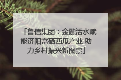鲁信集团：金融活水赋能济阳富硒西瓜产业 助力乡村振兴新图景