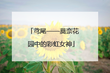 鸢尾——莫奈花园中的彩虹女神