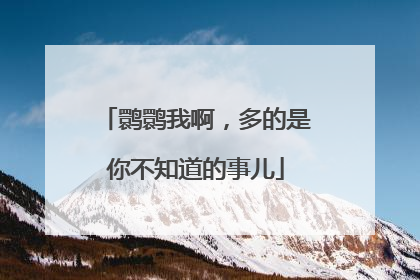 鹮鹮我啊，多的是你不知道的事儿