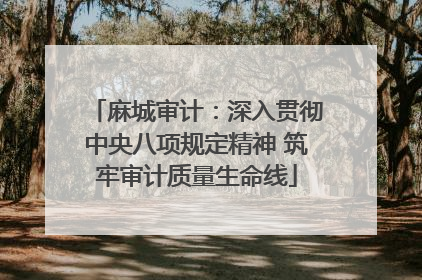 麻城审计：深入贯彻中央八项规定精神 筑牢审计质量生命线