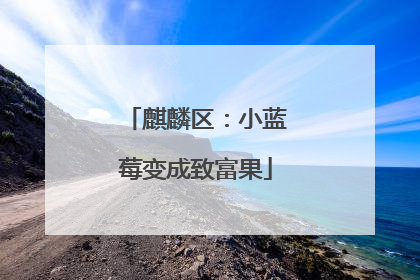 麒麟区：小蓝莓变成致富果